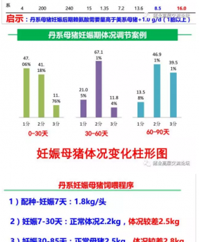 丹系VS美系母猪营养及饲喂差异_13.png