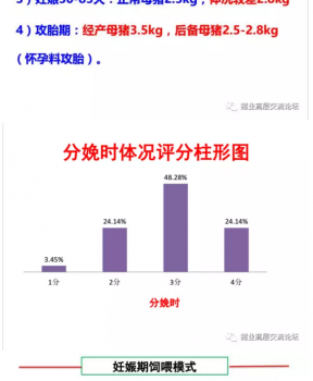 丹系VS美系母猪营养及饲喂差异_14.png