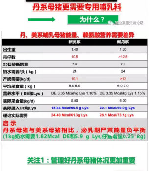 丹系VS美系母猪营养及饲喂差异_06.png