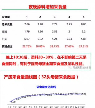 丹系VS美系母猪营养及饲喂差异_12.png