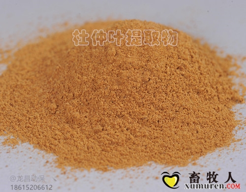幸福100细节图 (2)_副本_副本.jpg