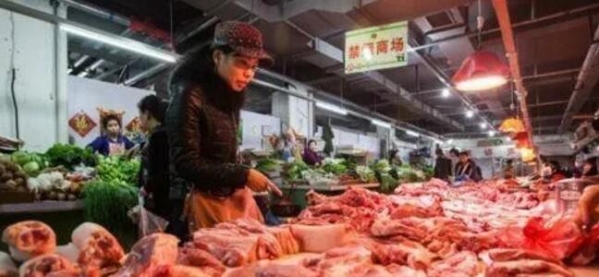 央广网：11月底猪价将再迎来一波上涨，养户可伺机而动！