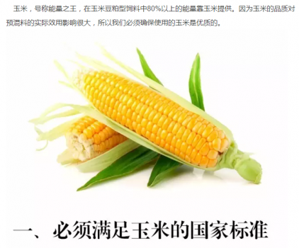 必须知道的什么样的玉米喂猪最好_01.png