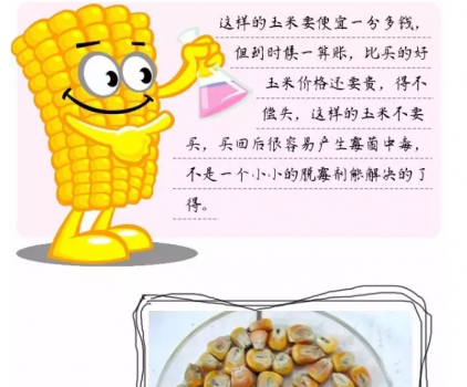 必须知道的什么样的玉米喂猪最好_14.png