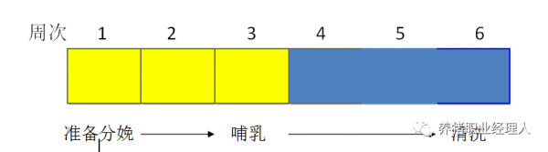 批次生产 | 猪场如何由周批生产转型为三周批次生产（2）