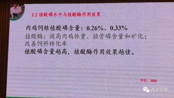 6.webp.jpg