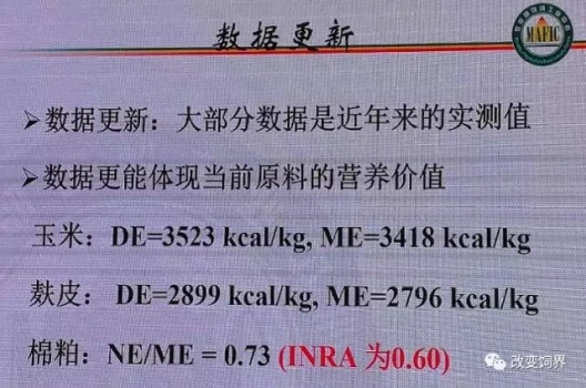 8.webp.jpg