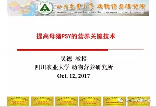 1.webp.jpg
