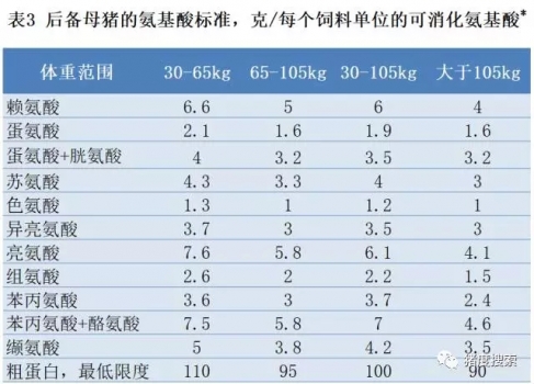 4.webp.jpg