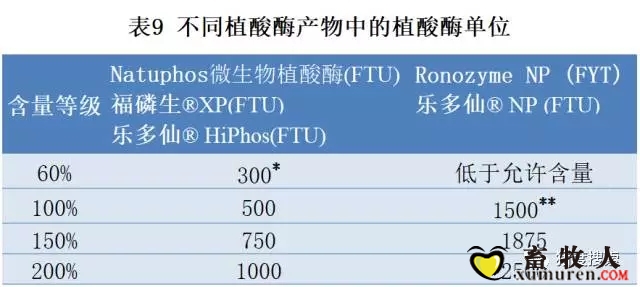 10.webp.jpg