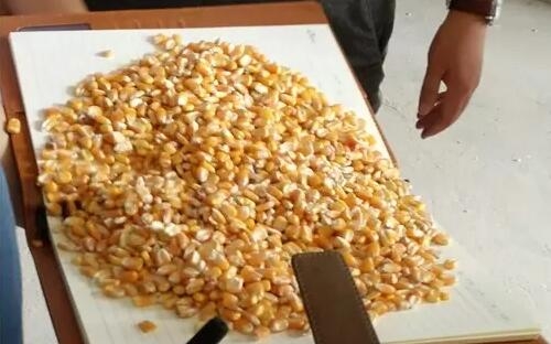 冬天如何控制饲料成品水分