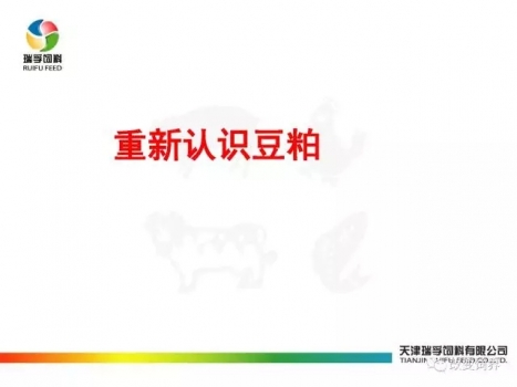 4.webp.jpg
