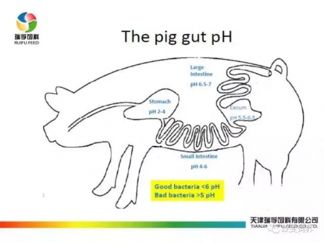 21.webp.jpg