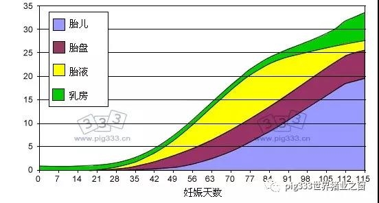 猪的营养 - 控制好青年母猪的体重和背膘厚可以提高母猪一生的生产性能