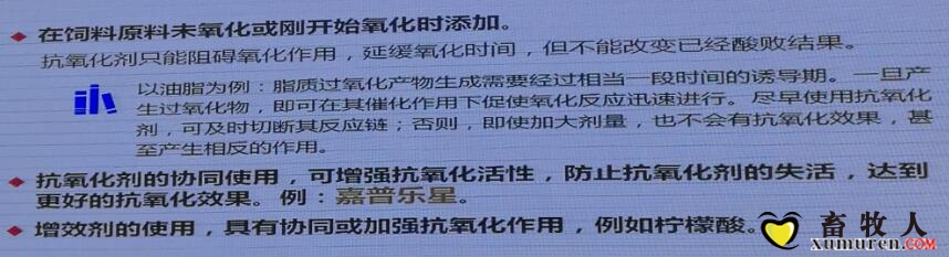 抗氧化剂2.jpg