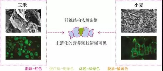 微信图片_20171201101504.jpg