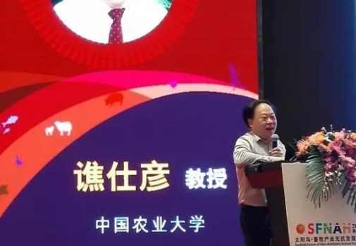 谯仕彦：猪功能性氨基酸营养研究进展