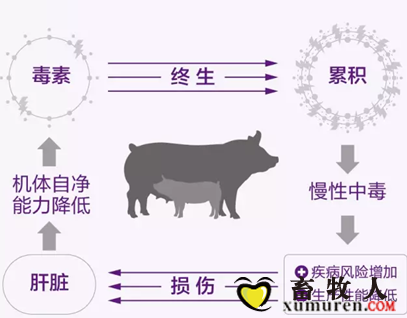 2345截图20171205111517.png
