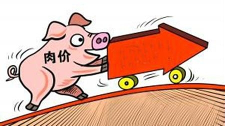 今日猪价分析：猪价再次滞涨