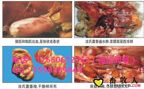 u=71656083,1767666193&amp;fm=27&amp;gp=0_副本.jpg