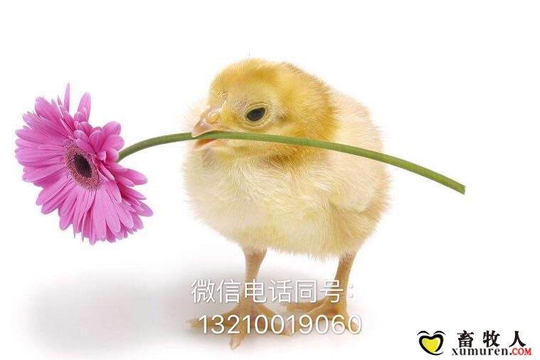 微信图片_20171213092030.jpg