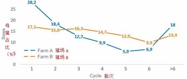 如何减少后备母猪更新率、维持较好的胎龄结构？