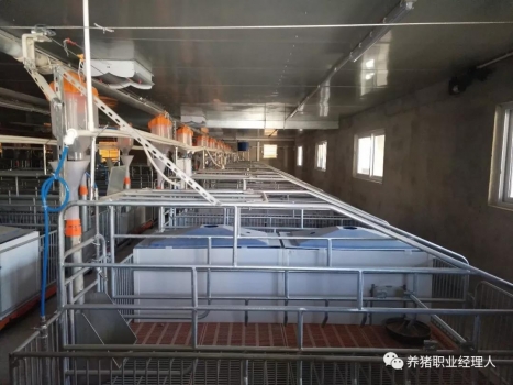 技术前沿 | 15万头线高效猪场规划设计（1）