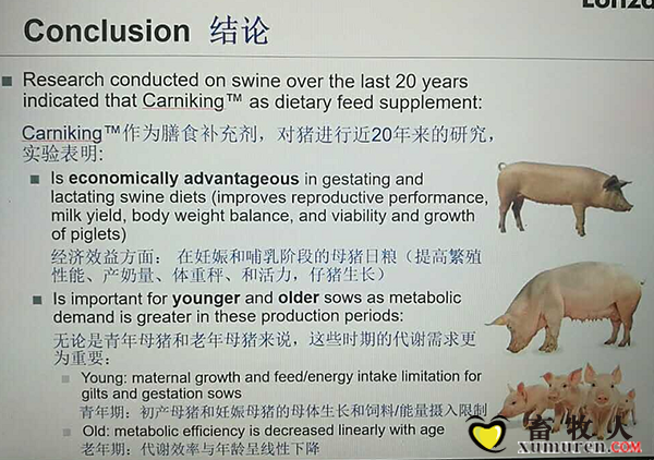 图片19.png