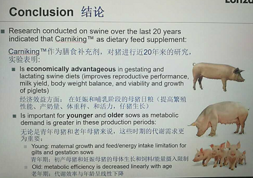 图片19.png
