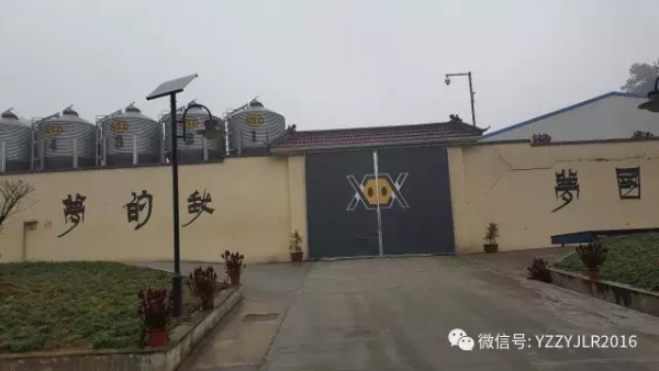 技术前沿|15万头线高效猪场规划设计（3）