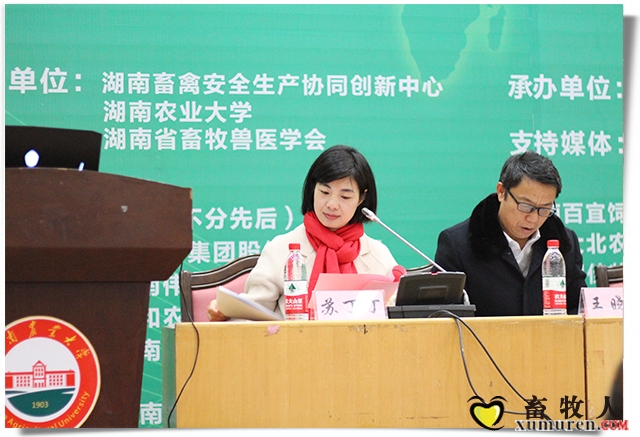 苏丁丁.jpg