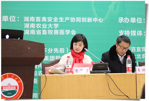 苏丁丁.jpg