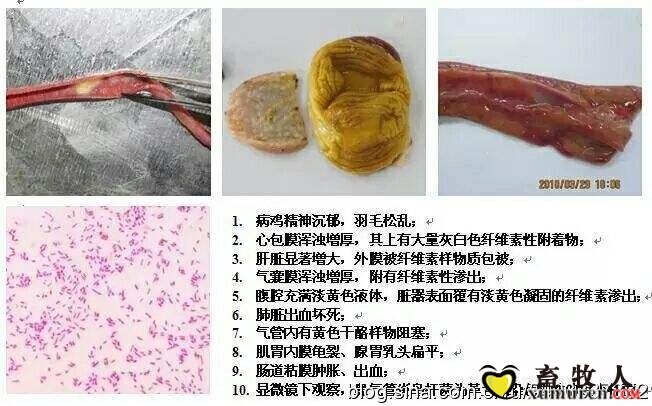 timg_副本hj.jpg