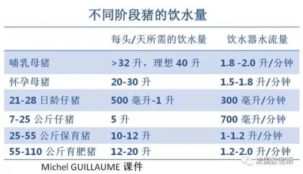 技术控 | 如何增加哺乳母猪的饮水量？