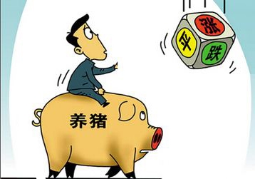 全国范围内猪价止涨反跌为哪般？养殖户应该如何应对？