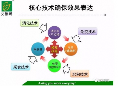 饲料品质提升的“八度管理”经验与关键点浅析