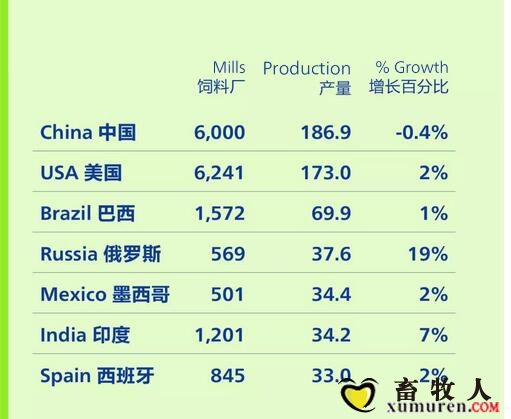 图41.jpg