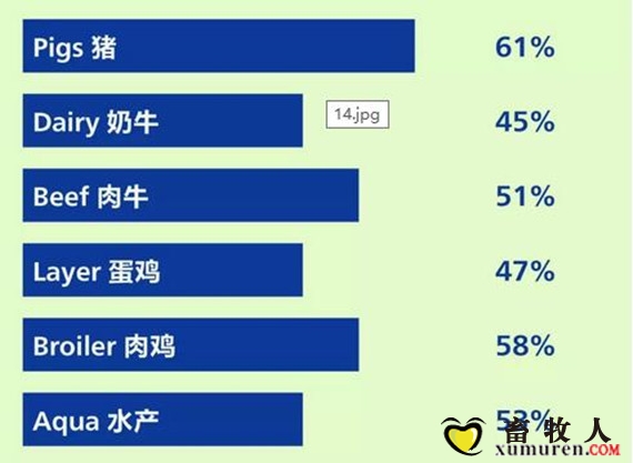 图51.jpg