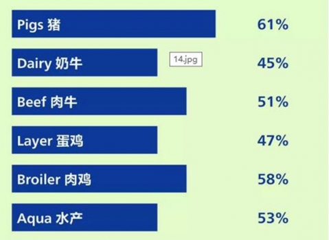 图51.jpg