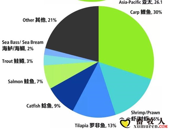 图53.jpg