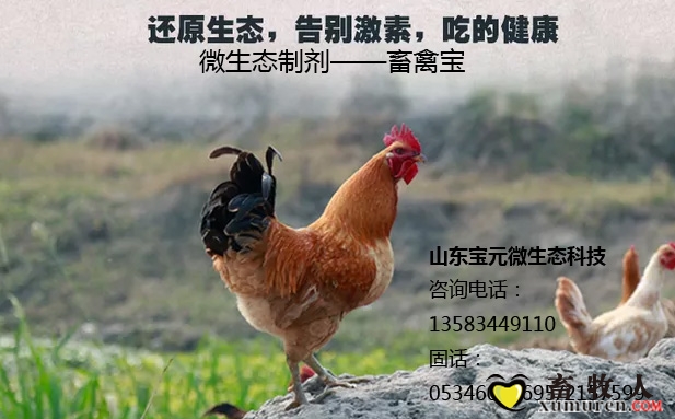 密码.jpg