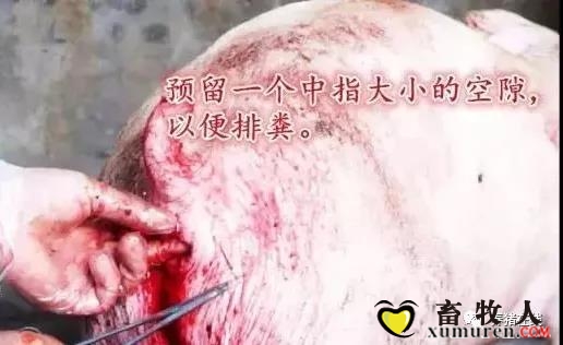 微信图片_20180212090732.jpg