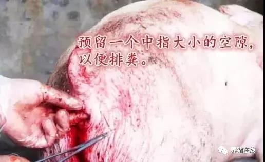 微信图片_20180212090732.jpg