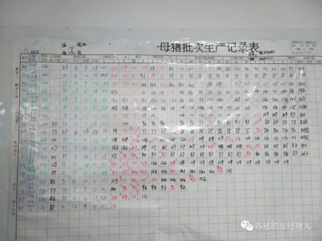 技术控 | 猪场水平高低如何判断？