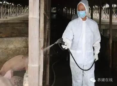 常用消毒剂的对比使用
