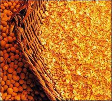 高豆粕比例和超剂量植酸酶对商业饲养条件下断奶仔猪生长性能的影响