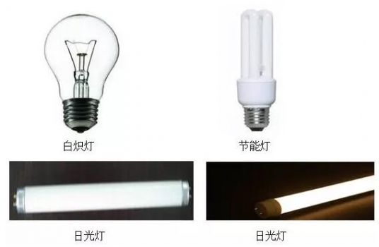 猪场如何选择合适的光源和光色？