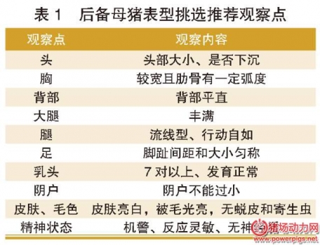 后备母猪的引种、驯化、饲养、营养