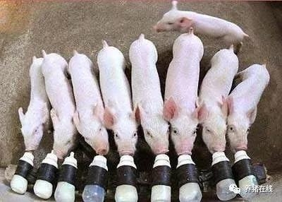 微信图片_20180314090804.jpg