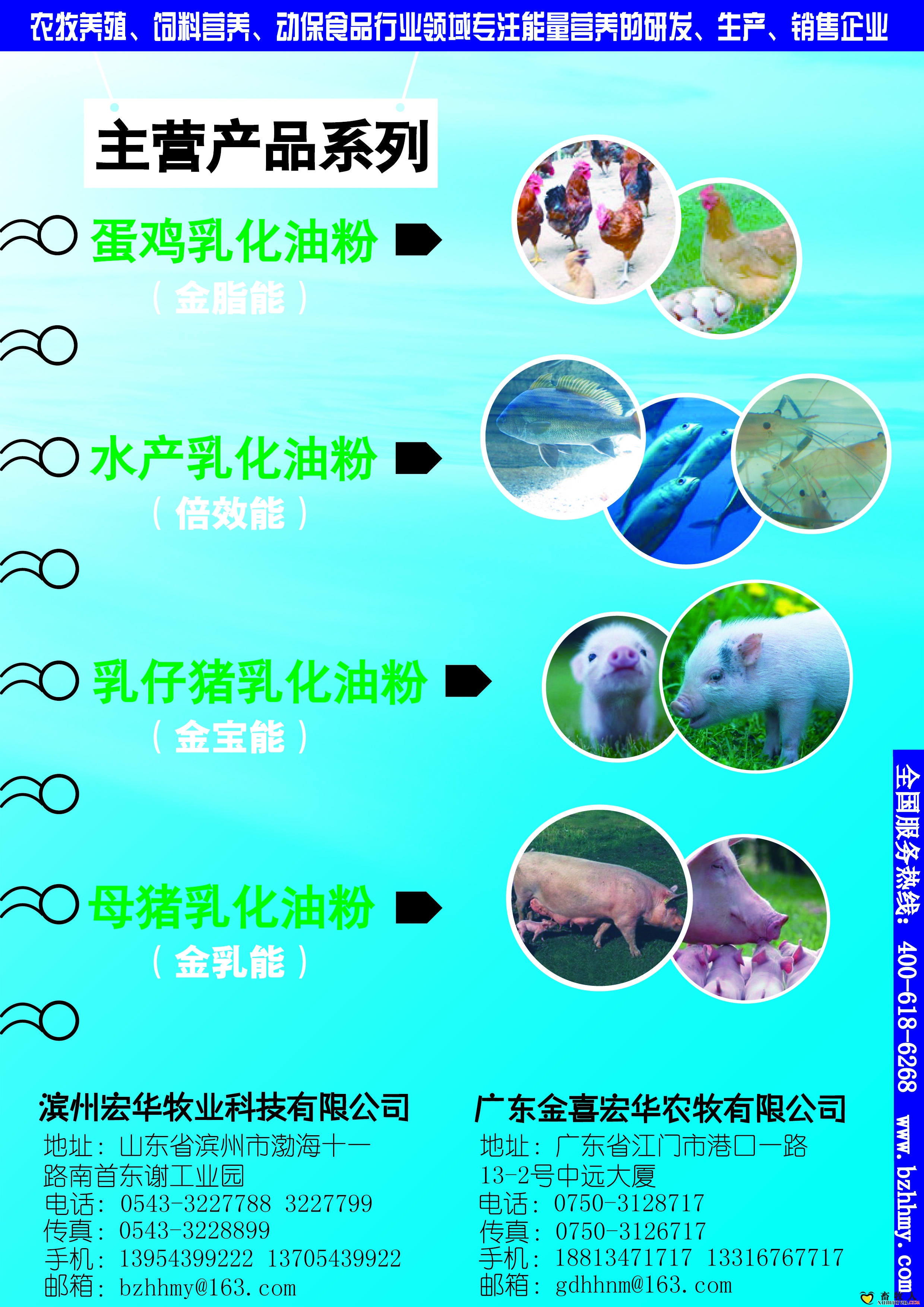 产品1-11.jpg
